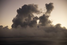 Cloud-base view of trade cumuli