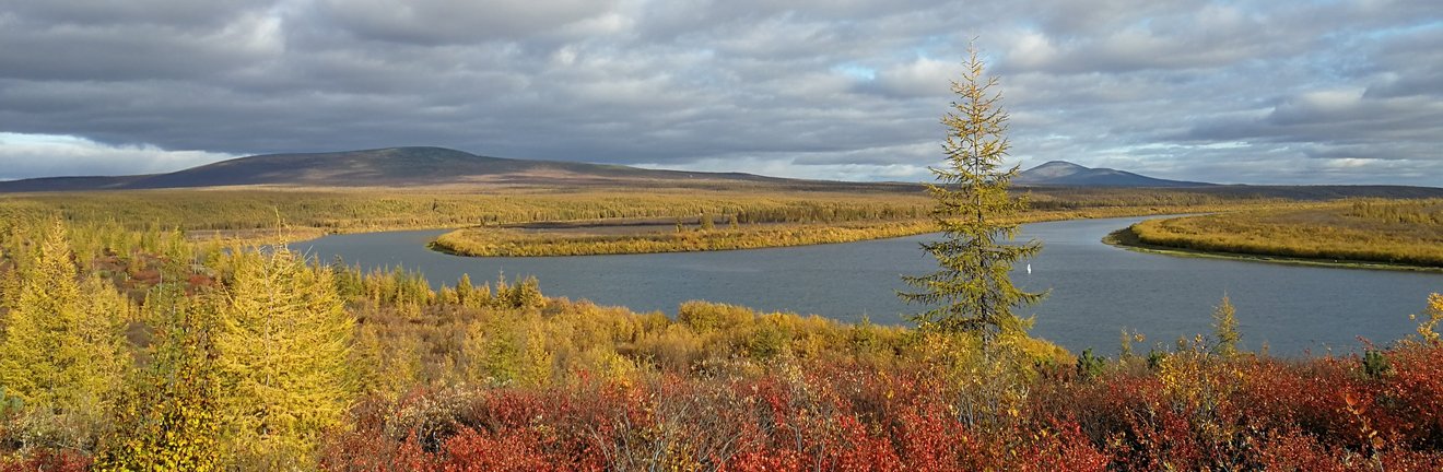 Unberüherte Natur mit Flusslauf und unendlichen Wäldern, am Horizont zeichnen sich flache Berge ab